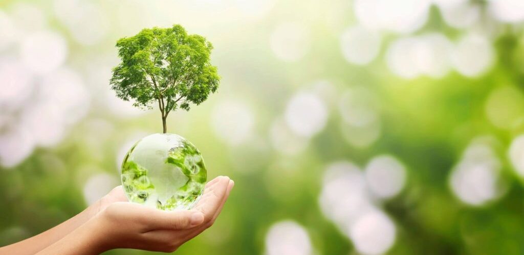 Fashion Sustainability